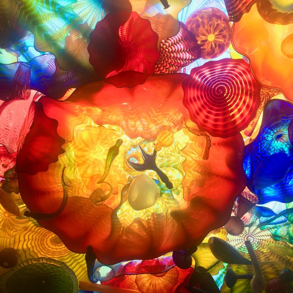 Meet your Posher, Michele